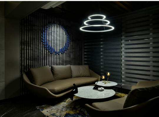 Sancheti Residence project image 13